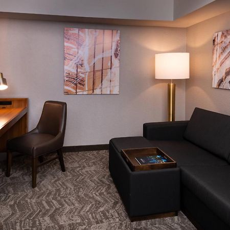 Springhill Suites By Marriott Pittsburgh North Shore Bagian luar foto