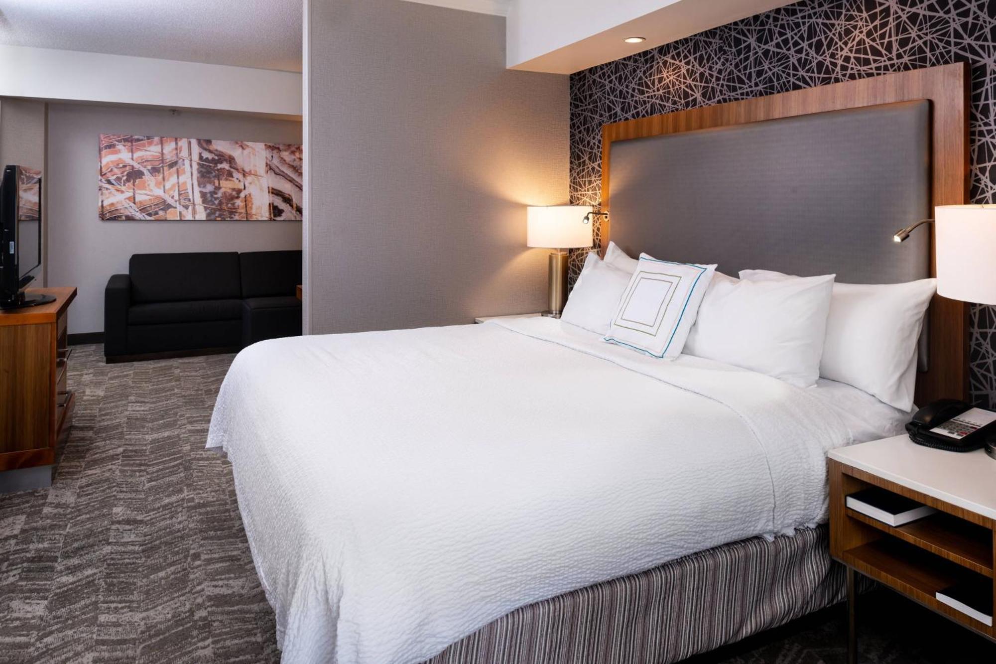 Springhill Suites By Marriott Pittsburgh North Shore Bagian luar foto