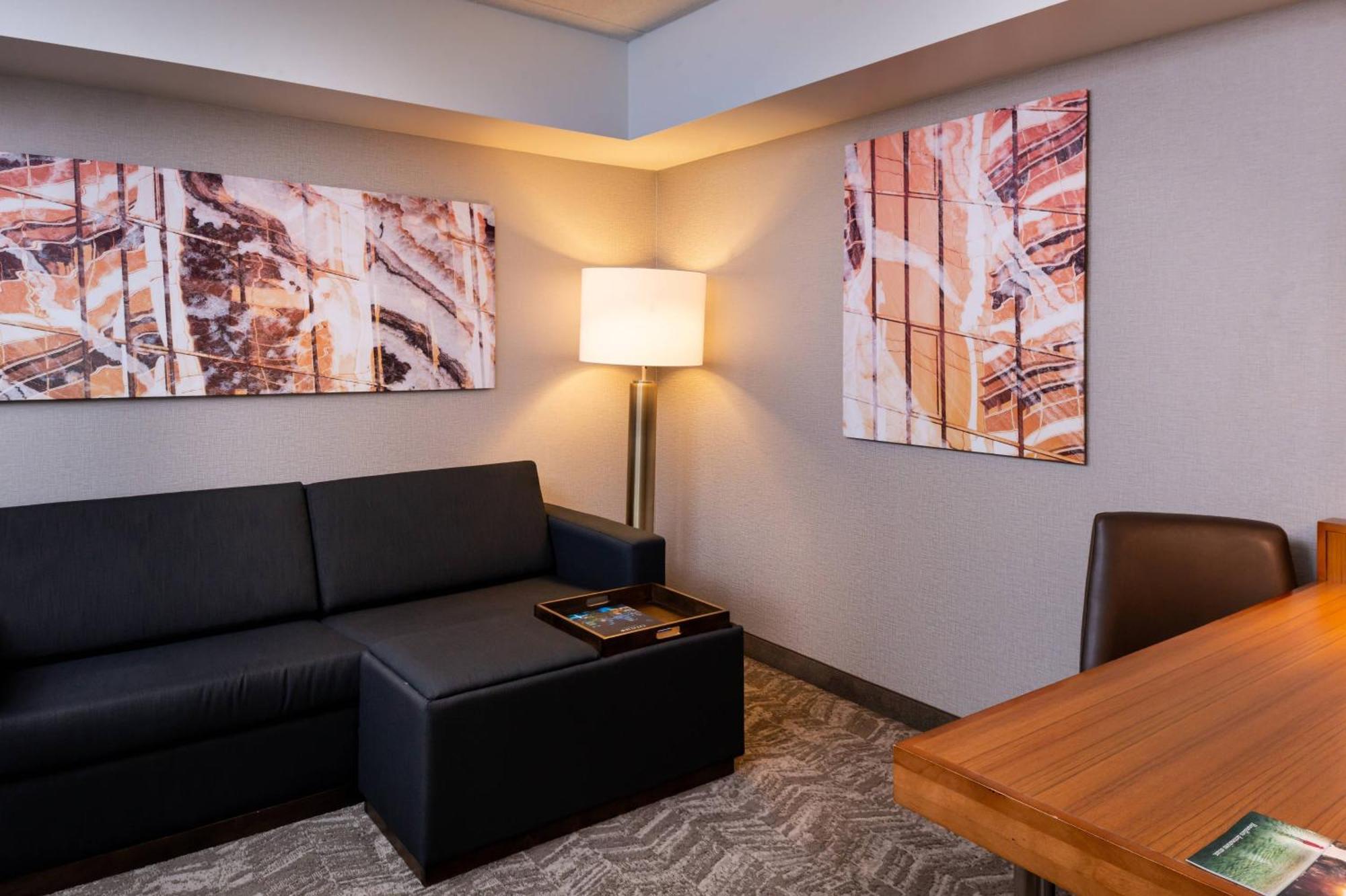 Springhill Suites By Marriott Pittsburgh North Shore Bagian luar foto